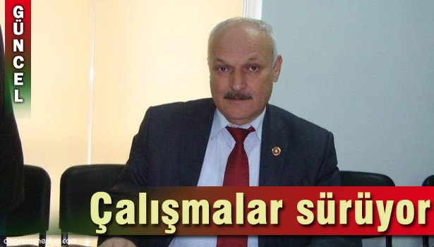 ALAPLI KÖYLERİNDE ASFALT ÇALIŞMASI