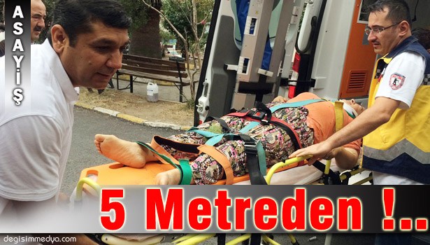 INCİR TOPLARKEN 5 METREDEN DÜŞTÜ