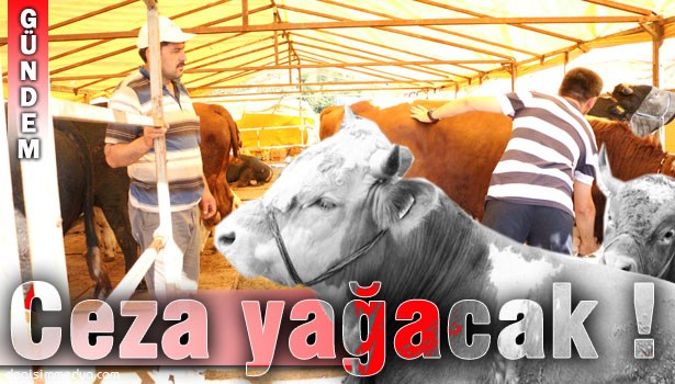 KURBAN HİZMETLERİ KOMİSYONU KURULDU