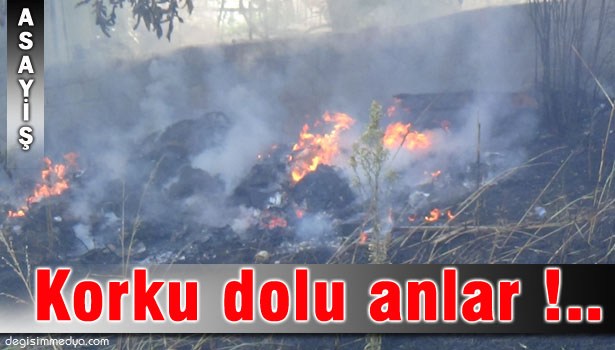 ÇAYCUMA'DA OT YANGINI PANİĞE NEDEN OLDU