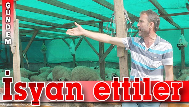 AVM'LERDE SATILAN TAKSİTLİ KURBANLIKLAR ESNAFI BİTME NOKTASINA GETİRDİ