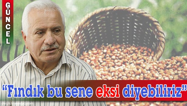 PULAT, FINDIK REKOLTESİ İLE İLGİLİ BİLGİLER VERDİ