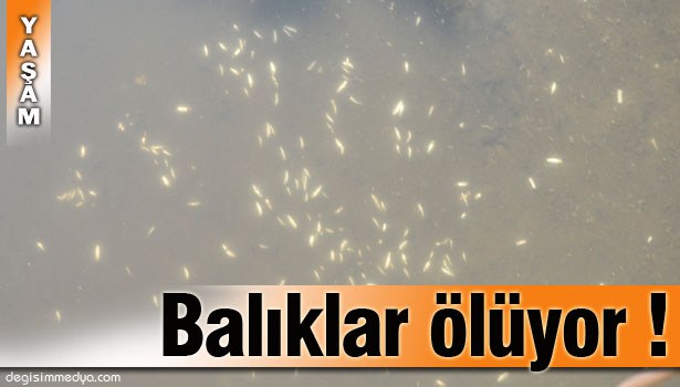 İNCELEME BAŞLATILDI