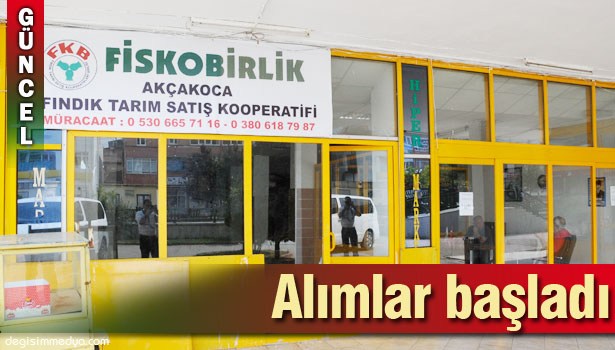 FİSKOBİRLİK FINDIK ALIMINA BAŞLADI...