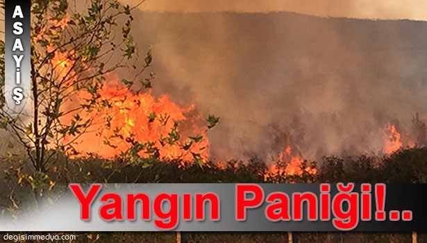 ÇAYCUMA'DA ARAZİ YANGINI KORKUTTU