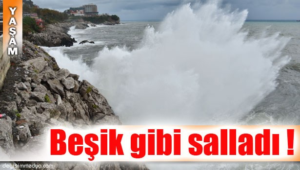 KARADENİZ'İN DALGASI GEMİLERİ SALLADI !