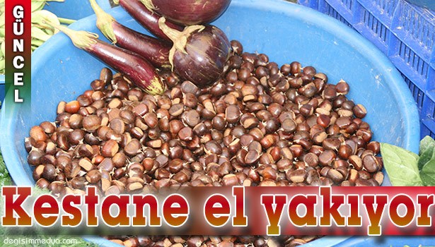 KESTANE FİYATLARI EL YAKIYOR