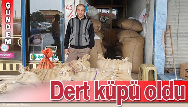 ALAPLI'DA FINDIK ÜRETİCİLERİ DERTLİ