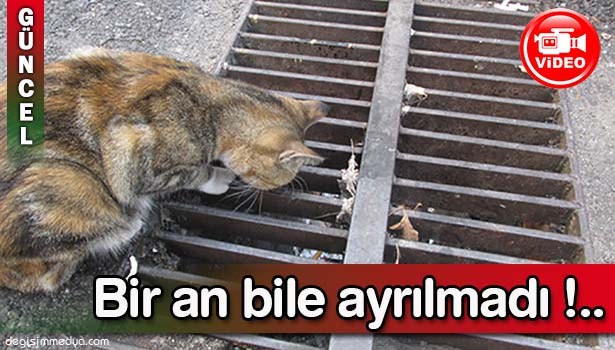 ANA YÜREĞİ DAKİKALARCA BEKLEDİ...