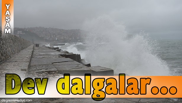 KARADENİZ'DE DALGALAR GEMİLERİ BEŞİK GİBİ SALLADI