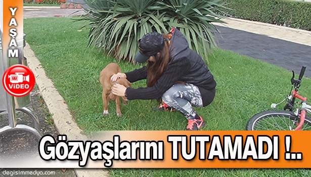 YARALI KÖPEĞİ GÖRÜNCE GÖZYAŞLARINI TUTAMADI
