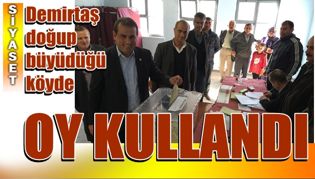 DEMİRTAŞ OYUNU KÖYÜNDE KULLANDI