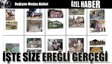 Haber Görseli