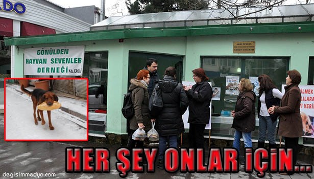 Haber Görseli