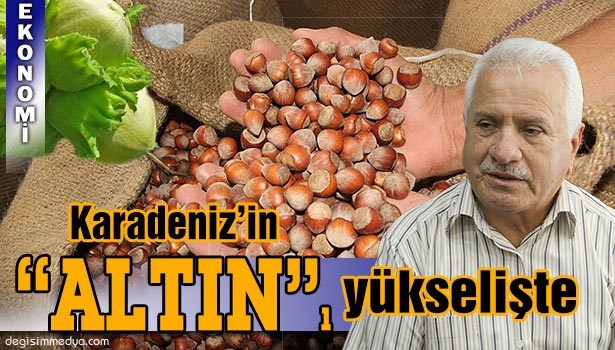 FINDIK FİYATLARINDAKİ SON DURUM