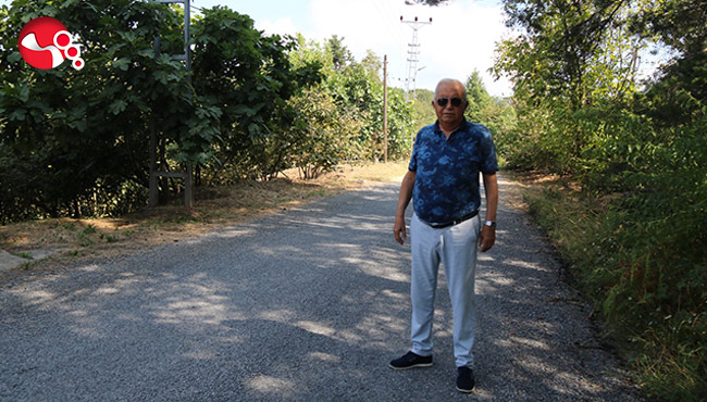 Haber Görseli