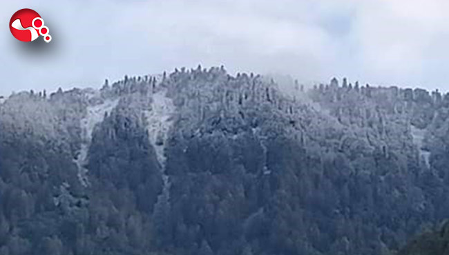 Haber Görseli