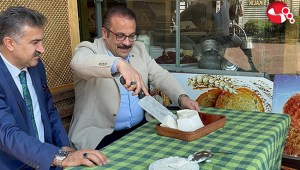 Haber Görseli