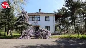 Haber Görseli