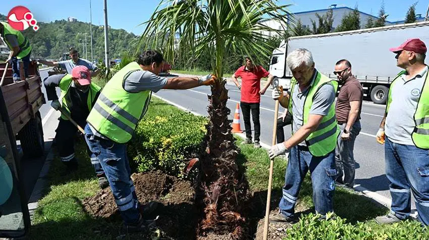 KDZ. EREĞLİDE TROPİKAL DÖNÜŞÜM BAŞLADI....