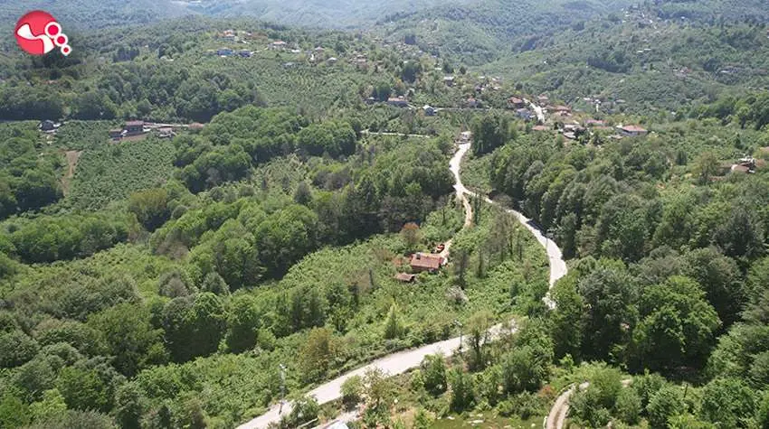 Haber Görseli