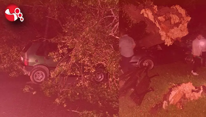 Ağaçlar otomobillerin üzerine devrildi....