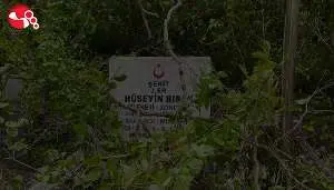 Haber Görseli