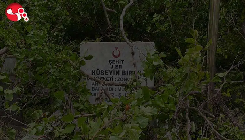 Haber Görseli