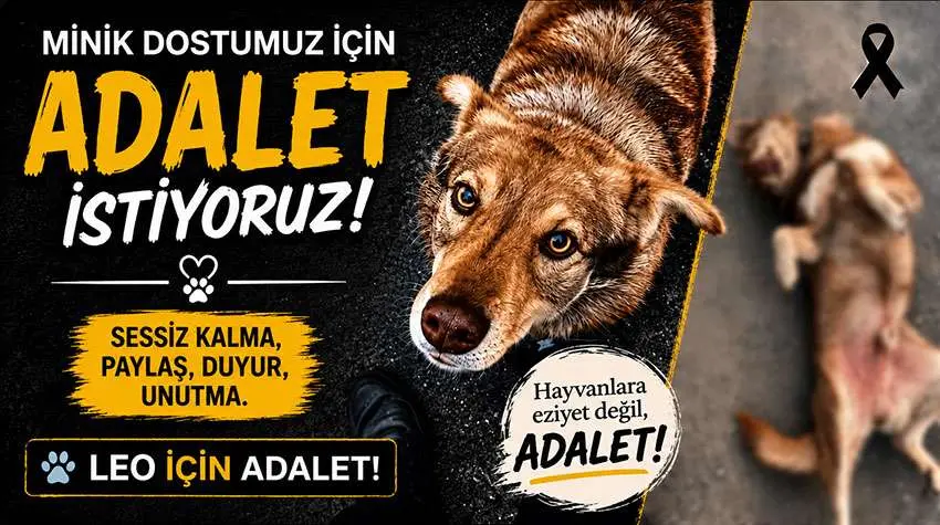Haber Görseli