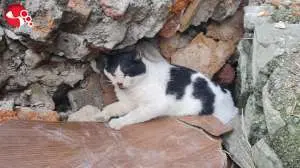 ENKAZDAN KURTARILDI,TEDAVİ ALTINDA.....