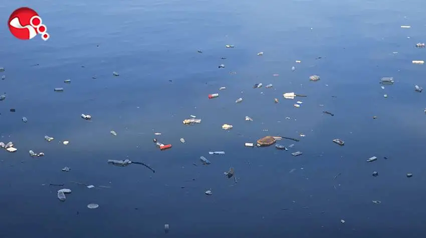 Liman bölgesinde çevre kirliliği....