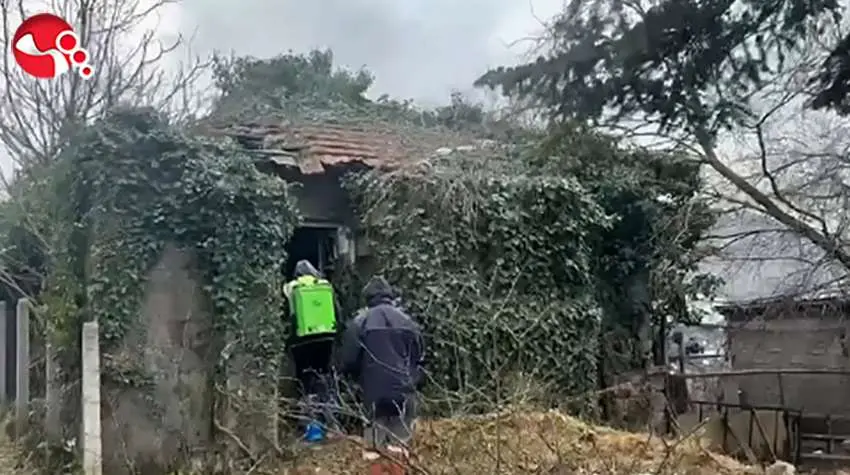 KAHVERENGİ KOKARCA MÜCADELESİ