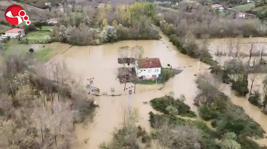 Selin boyutu dronla görüntülendi