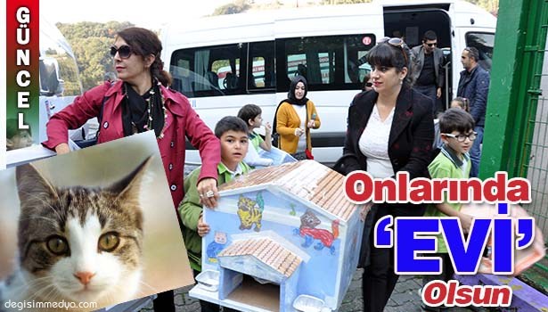 İLKOKUL ÖĞRENCİLERİNDEN KEDİ EVLERİ PROJESİ