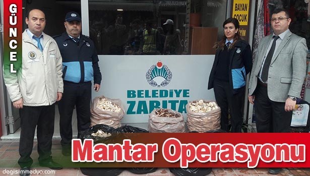 ÇAYCUMA'DA MANTAR OPERASYONU