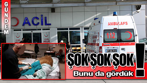 DEVLET HASTANESİNDE KÖPEĞİ AMELİYAT ETTİ