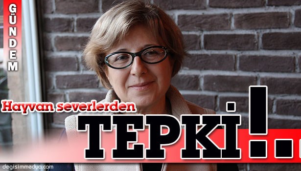 HAYVANSEVERLERDEN 'DEVLET HASTANESİNDE KÖPEK AMELİYATI'NA TEPKİ