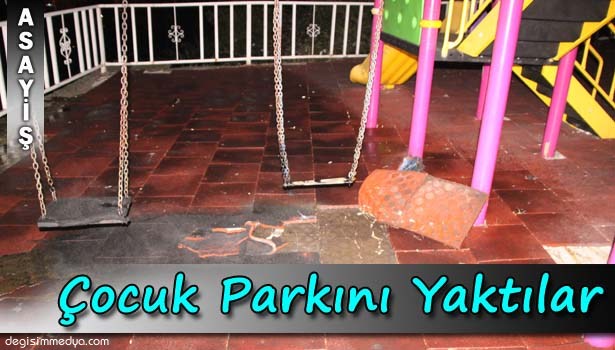 Alkol aldıkları çocuk parkını yaktılar