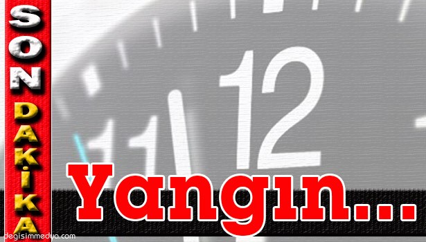 ALAPLI'DA ORMANLIK ALANDA YANGIN