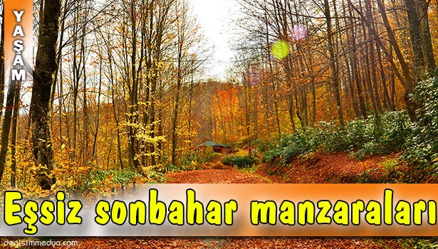 ZONGULDAK'TA SONBAHAR