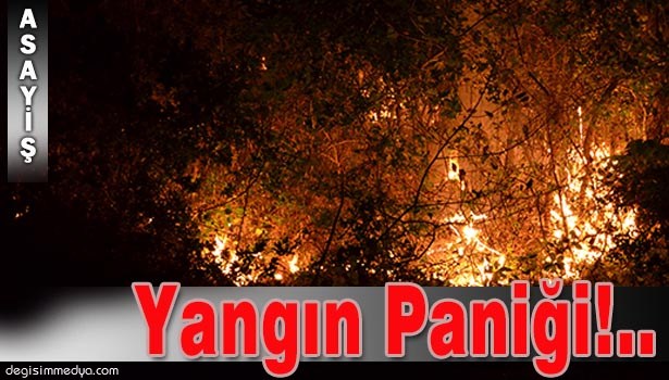 ALAPLI'DA ORMANLIK ALANDA 3 NOKTADA YANGIN ÇIKTI
