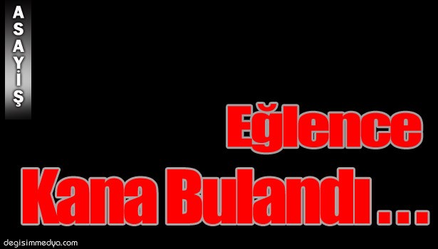 İKİ KARDEŞİN EĞLENCESİ KANLI BİTTİ