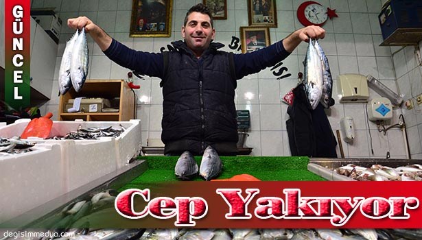 BALIK FİYATLARI CEP YAKIYOR