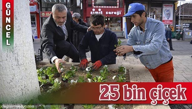 ALAPLI'DA 25 BİN ÇİÇEK DİKİLECEK