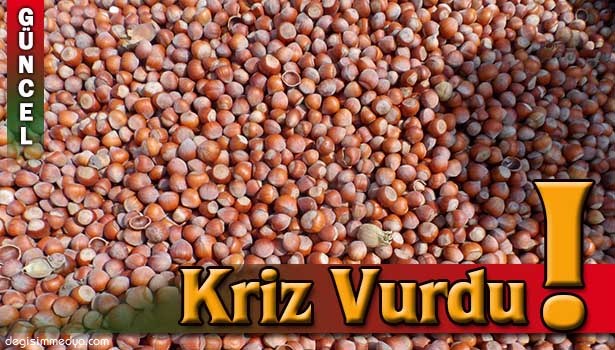 RUSYA KRİZİ, FINDIK FİYATLARINI DA VURDU