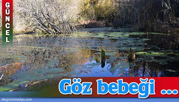 GÜMELİ YAYLALARI FOTOĞRAFÇILAR VE DOĞASEVERLERİN GÖZDESİ OLDU