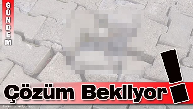 ÇÖZÜM BEKLİYOR