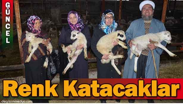 KADINLAR, ÇOBANLIK MESLEĞİNE RENK KATACAK