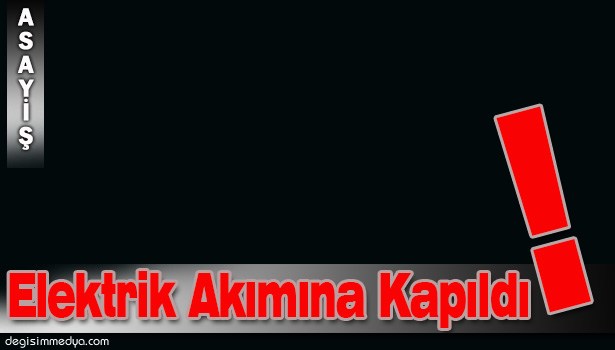 ELEKTRİK AKIMINA KAPILARAK HAYATINI KAYBETTİ
