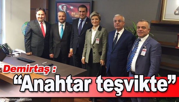 DEMİRTAŞ : "ANAHTAR TEŞVİKTE"